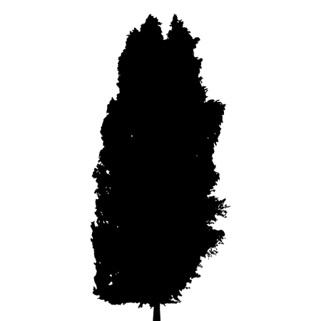 Black and White Silhouette of Deciduous Tree, whose branches devのイラスト素材