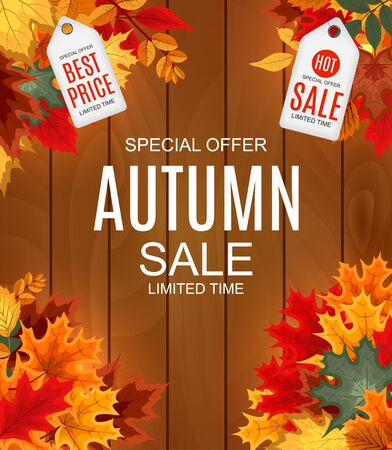 Abstract Vector Illustration Autumn Sale Background with Fallingのイラスト素材