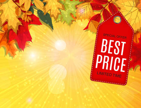 Abstract Vector Illustration Autumn Sale Background with Fallingのイラスト素材
