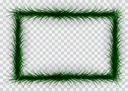 Frame of colorful coniferous branches on transparent background. Vector Illustration.のイラスト素材