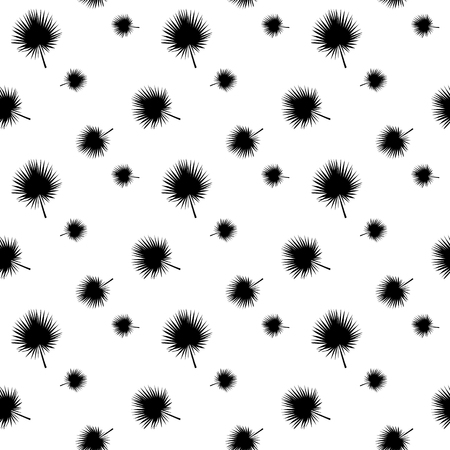 Black and White silhouette of leaf Libistones of Chinese, Southern palm. Seamless pattern. Vector Illustration.の写真素材
