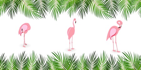 Frame from Palm Leaf with White Background. Vector Illustration. EPS10のイラスト素材
