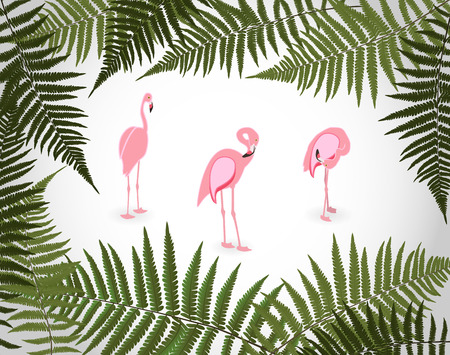 Frame from Palm Leaf with White Background. Vector Illustration. EPS10のイラスト素材