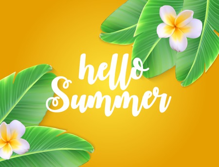 Hello Summer natural floral background with frame vector illustration.のイラスト素材