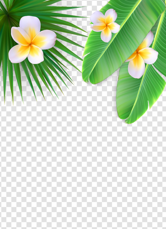 Summer Natural Floral Frame on Transparent Background Vector Illustration EPS10のイラスト素材