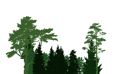 Paper Trendy Flat Trees Set Vector Illustration EPS10のイラスト素材