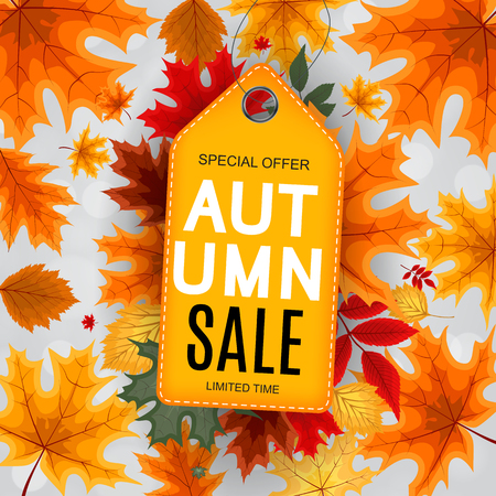 Abstract Vector Illustration Autumn Sale Background with Falling Autumn Leaves. EPS10のイラスト素材