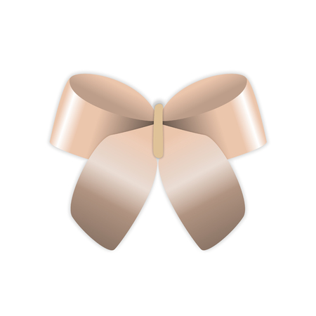 Naturalistic bow on a white background. Vector Illustration. EPS10のイラスト素材