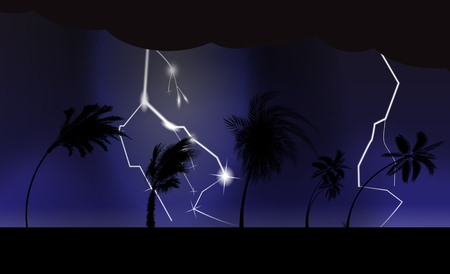 Palm trees during storm and hurricane. Leaves fly across the sky from a storm. Vector Illustrationのイラスト素材