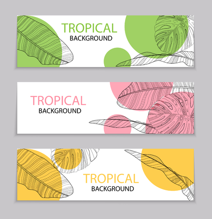 Abstract tropical banana and monstera palm leaves tropical background. Vector Illustrationのイラスト素材