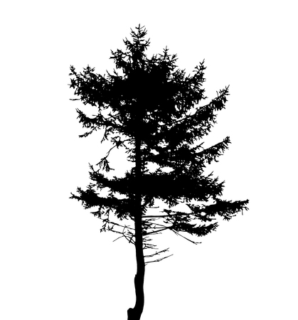 Tree Silhouette Isolated on White Backgorund. Vecrtor Illustration. EPS10のイラスト素材