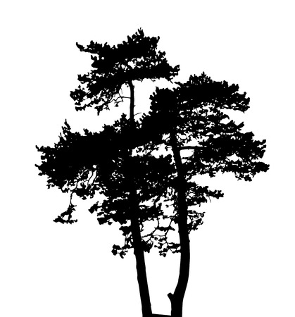 Tree Silhouette Isolated on White Backgorund. Vecrtor Illustration. EPS10のイラスト素材
