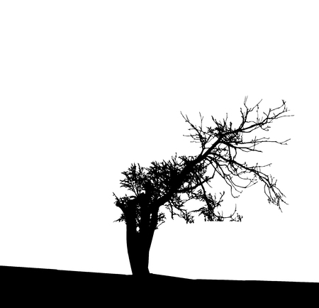 Tree Silhouette Isolated on White Backgorund. Vecrtor Illustration. EPS10のイラスト素材