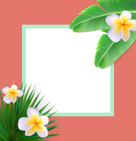Frame with Palm Leaf Vector Background Vector llustration EPS10のイラスト素材