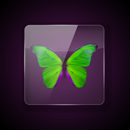 Glass Frame on dark Background with colorful green butterfly. Vector Illustration.のイラスト素材