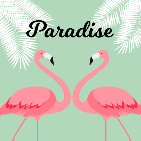Summer Creative Poster with Pink Flamingo. Card of Invitation. Vector Illustration. EPS10のイラスト素材