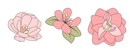 Hand drawn flower. Vector Illustration EPS10のイラスト素材