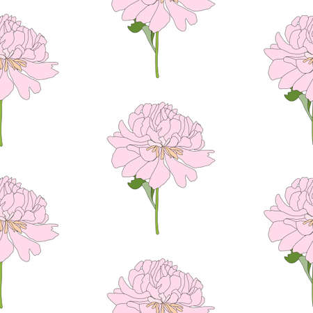 Abstract Hand Drawn Peony flower seamless pattern background. Vector Illustration EPS10のイラスト素材