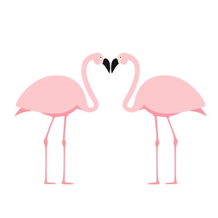 Cartoon Pink Flamingo on white background. Vector Illustration EPS10のイラスト素材
