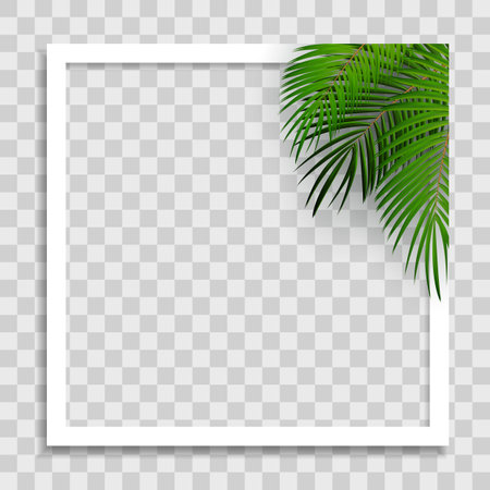 Empty Photo Frame Template with Summer Palm Leaves for Media Post in Social Network. Vector Illustrationのイラスト素材