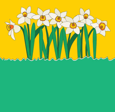 Natural background with daffodil flower and copy space. Vector Illustrationのイラスト素材
