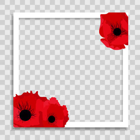 Empty Photo Frame Template with Spring poppy Flowers for Media Post in Social Network. Vector Illustrationのイラスト素材