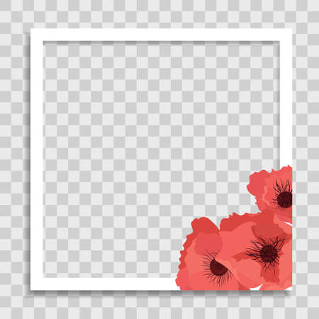 Empty Photo Frame Template with Spring poppy Flowers for Media Post in Social Network. Vector Illustrationのイラスト素材
