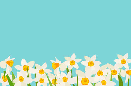 Narcissus Natural Background Template Vector Illustrationのイラスト素材