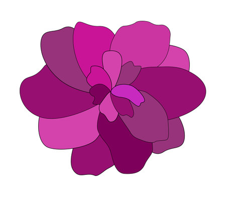 colorful pink flower on white background. Vector Illustration. EPS10のイラスト素材