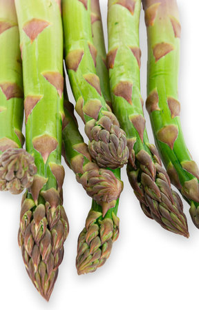 Vegetarian fresh green asparagus. vegetable on whiteの写真素材