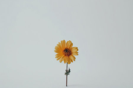 Minimalist Flower Background. Illustration Generative AIの素材