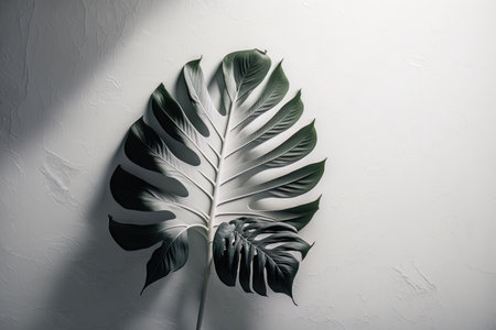 White wall background with stucco texture and big leaves. AI Generative Illustrationの素材