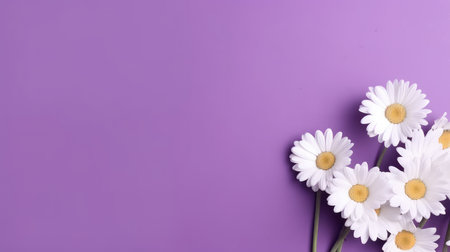 Chamomile background. Illustration Generative AIの素材