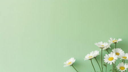 Chamomile background. Illustration Generative AIの素材