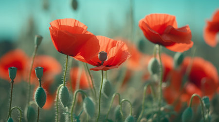 Red poppies background. Illustration Generative AIの素材