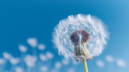 Dandelion on blue background. Illustration Generative AIの素材