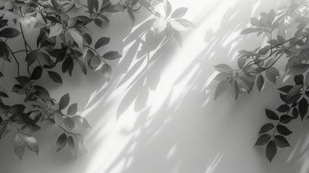 Blurred shadow from leaves plants on the white wall. Minimal abstract background.の素材