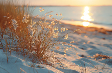the breeze blows across the sea at sunset.の素材