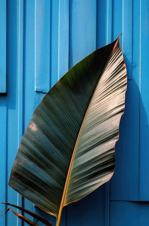 a palm leaf is on a wall close to a fenced in yard with a blue gate.の素材