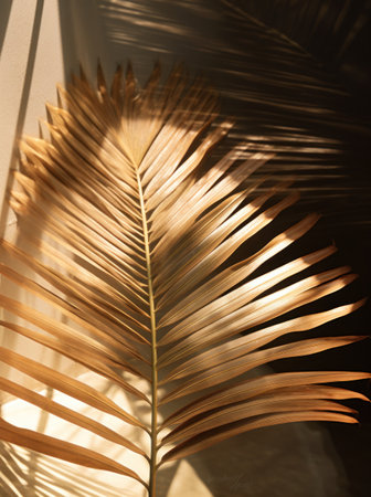 a palm leaf is shown in a reflection in the glass of a window.の素材