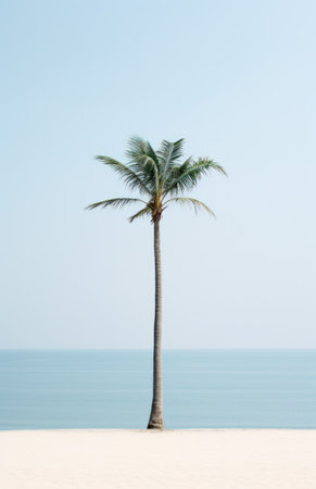 a palm tree sits in the sand, next to a beachの素材