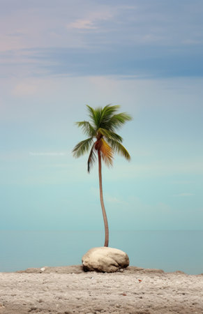 a palm tree on top of a pebble beach in a large sea with a cloudy sky.の素材