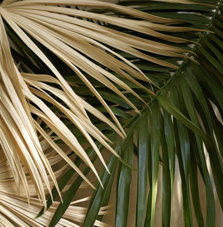 palm leaves with green leaves, eco-friendly craftsmanship, combining natural.の素材