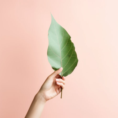 hand holding a small green leaf on a pink wall.の素材