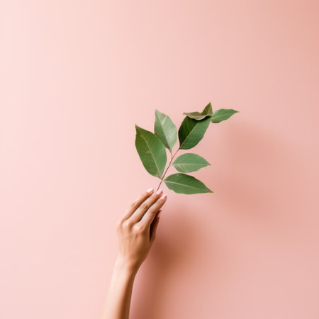 hand holding a small green leaf on a pink wall.の素材