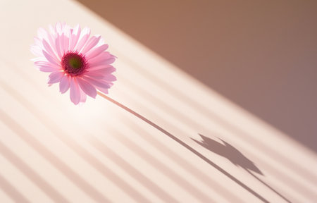 one flower at the center of a desk with its shadow.の素材