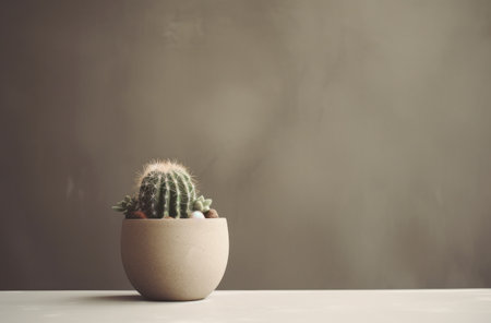 small cactus desktopの素材