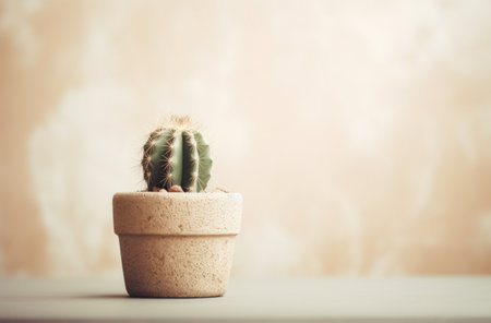 small cactus desktopの素材