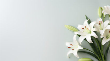 A minimalist Easter scene featuring a lone, graceful lily on a pristine white backdropの素材