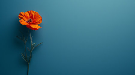 Minimalist photo with a single flower, symbolizing a mother's love and nurturing presence.の素材